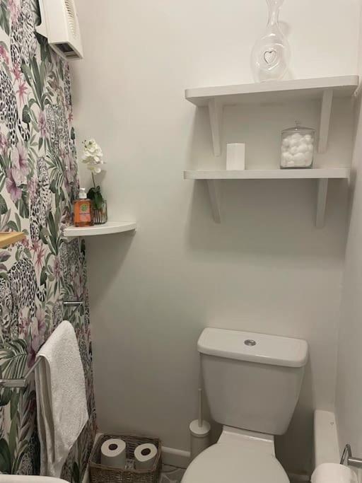 Lovely 1 Bed Flat In Victorian House 300M Seafront Penzance Ngoại thất bức ảnh